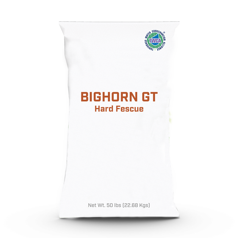 Bighorn GT Hard Fescue - 50lb