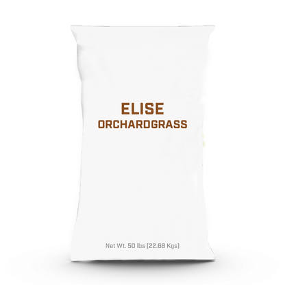 Elise Orchardgrass - 25lb