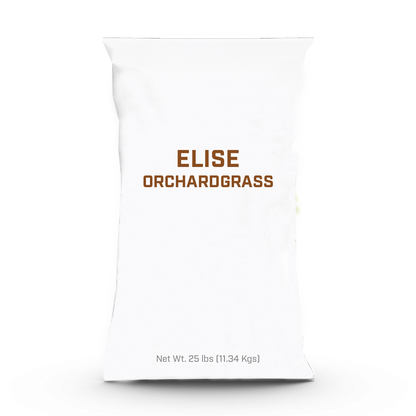 Elise Orchardgrass - 25lb