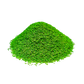 TWCA Tall Fescue - 10 lb