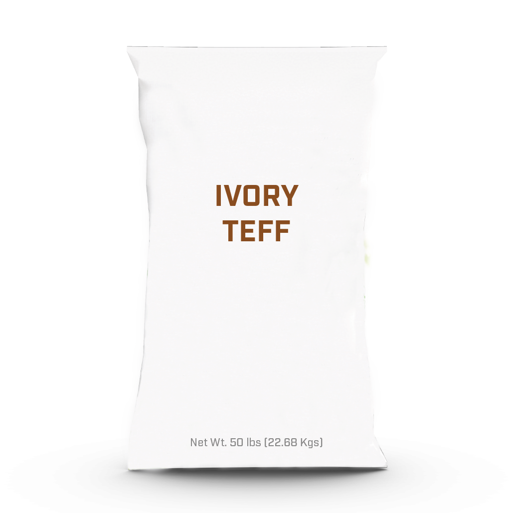 Ivory Teff - 50lb