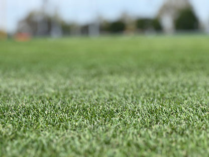 PURESPORT Ryegrass - 25 lb