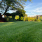 TWCA Tall Fescue - 10 lb
